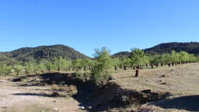 Rustic Finca for Sale in Venta del Fraile photo 21