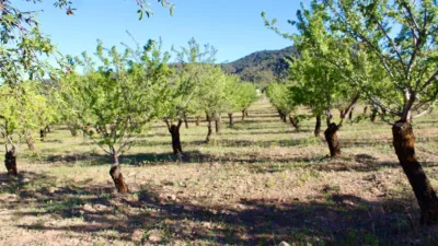 Rustic Finca for Sale in Venta del Fraile photo 22
