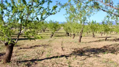 Rustic Finca for Sale in Venta del Fraile photo 23