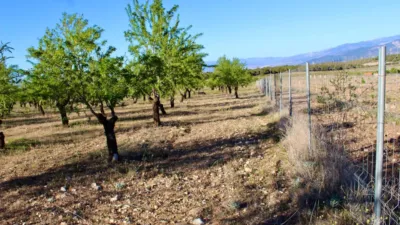 Rustic Finca for Sale in Venta del Fraile photo 24