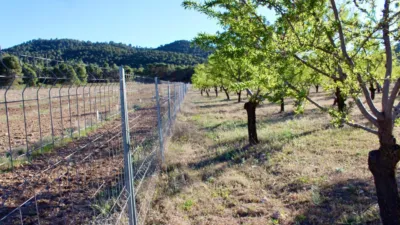 Rustic Finca for Sale in Venta del Fraile photo 25