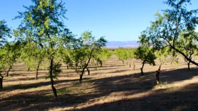 Rustic Finca for Sale in Venta del Fraile photo 26
