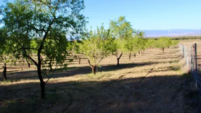 Rustic Finca for Sale in Venta del Fraile photo 27