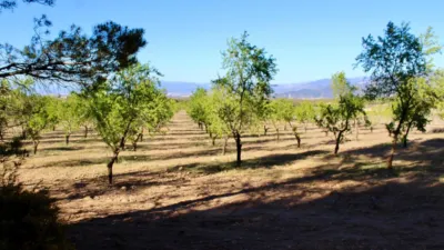 Rustic Finca for Sale in Venta del Fraile photo 28