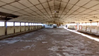 Rustic Finca for Sale in Venta del Fraile photo 2
