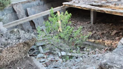 Rustic Finca for Sale in Venta del Fraile photo 32