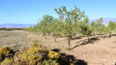 Rustic Finca for Sale in Venta del Fraile photo 34