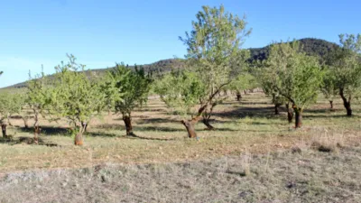 Rustic Finca for Sale in Venta del Fraile photo 35