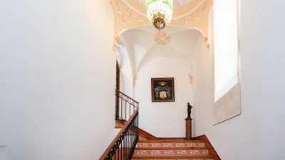 House on Enrique Agredano Street photo 24