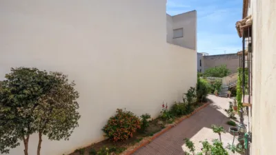 House on Enrique Agredano Street photo 52