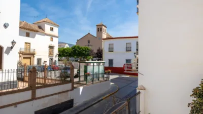House on Enrique Agredano Street photo 53