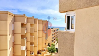 Pis – Guardamar del Segura, Urbanització Pinar de Guardamar - Vista 2