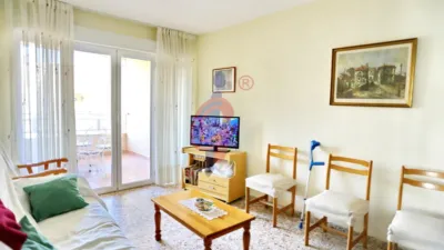 Pis – Guardamar del Segura, Urbanització Pinar de Guardamar - Vista 4