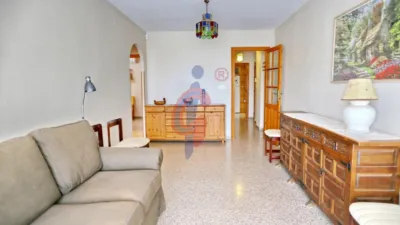 Pis – Guardamar del Segura - Vista 2