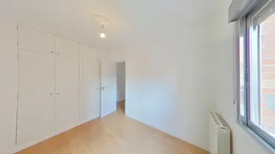 Apartment in Almendrales photo 18