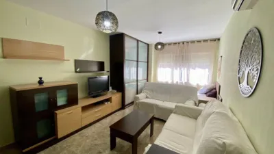 Miniatura 12