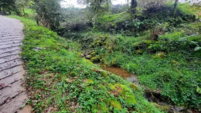 Rustic Finca in Valles Pasiegos photo 16