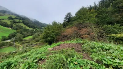 Rustic Finca in Valles Pasiegos photo 18