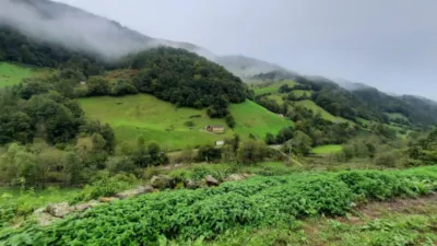 Rustic Finca in Valles Pasiegos photo 20