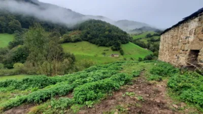 Rustic Finca in Valles Pasiegos photo 8