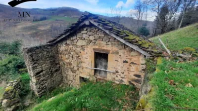 Rustic Finca in Vegalosvados photo 12