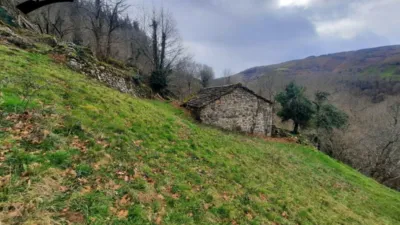 Rustic Finca in Vegalosvados photo 13