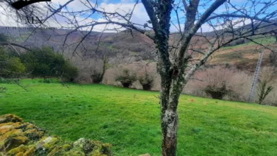 Rustic Finca in Vegalosvados photo 19