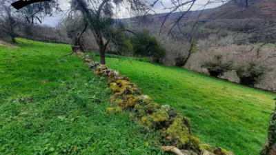 Rustic Finca in Vegalosvados photo 20