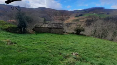 Rustic Finca in Vegalosvados photo 22