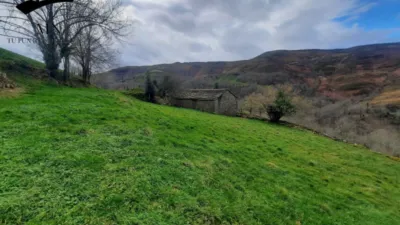 Rustic Finca in Vegalosvados photo 23