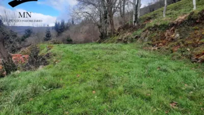 Rustic Finca in Vegalosvados photo 24