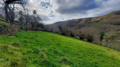 Rustic Finca in Vegalosvados photo 39