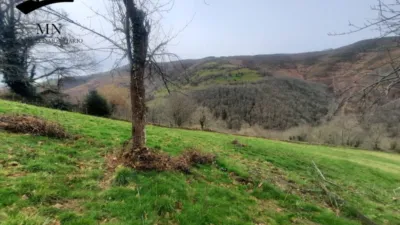 Rustic farm in Vegalosvados photo 19