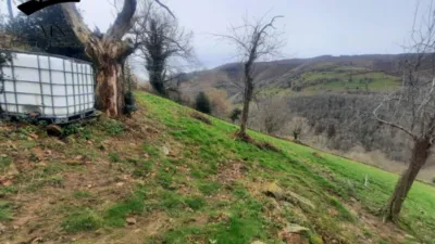 Rustic farm in Vegalosvados photo 8