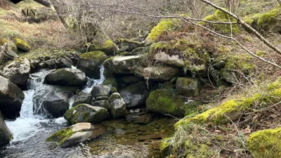 Rustic Finca in Vega de Pas photo 25