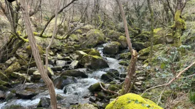 Rustic Finca in Vega de Pas photo 27