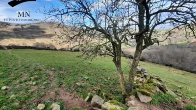 Rustic Finca in San Pedro del Romeral photo 12