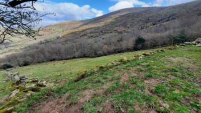 Rustic Finca in San Pedro del Romeral photo 13