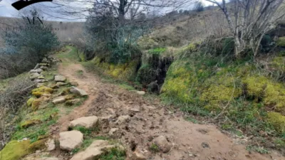 Rustic Finca in San Pedro del Romeral photo 14