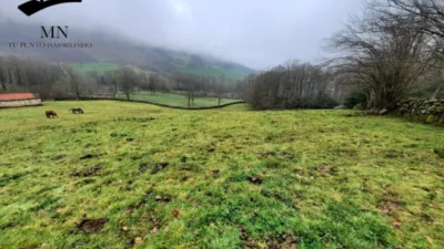 Rustic Finca in Vegaloscorrales photo 18