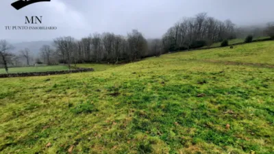 Rustic Finca in Vegaloscorrales photo 19