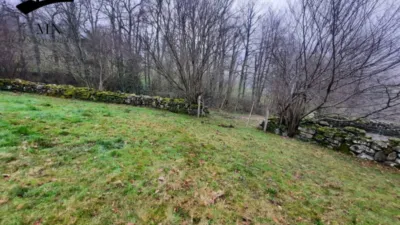 Rustic Finca in Vegaloscorrales photo 21