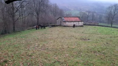 Rustic Finca in Vegaloscorrales photo 22