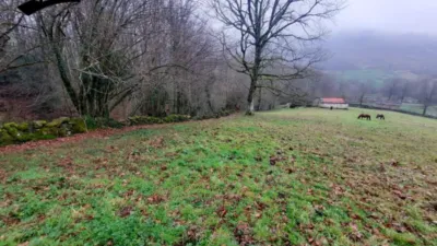 Rustic Finca in Vegaloscorrales photo 26