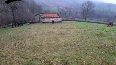 Rustic Finca in Vegaloscorrales photo 3