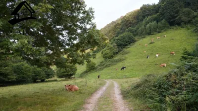 Rustic Finca in Valles Pasiegos photo 53