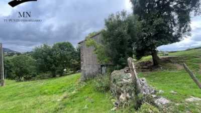 Rustic Finca in San Martin 16 photo 14