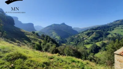 Rustic Finca in Calseca photo 17