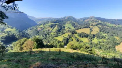 Rustic Finca in Calseca photo 18