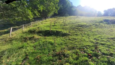 Rustic Finca in Calseca photo 20